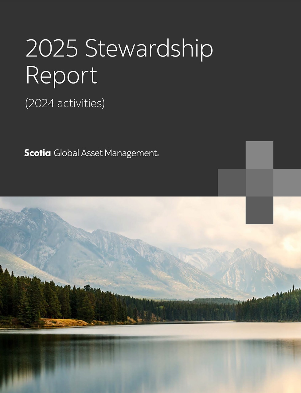 2025 Stewardship Report (2024 Activities)