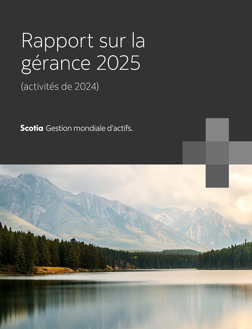 Rapport sur la gérance 2025 (activités de 2024)